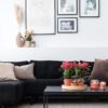 COMBI DEAL von 2 roten Phalaenopsis Orchideen - Congo