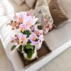 Rosa Phalaenopsis Orchidee - Andorra + Pastelltopf weiß