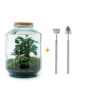 Flaschengarten - Botanischer Garten XL - Rake + Shovel