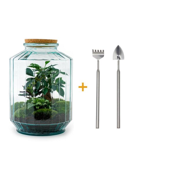 thumbnail_6000-3461.jpg Flaschengarten - Botanischer Garten XL - Rake + Shovel
