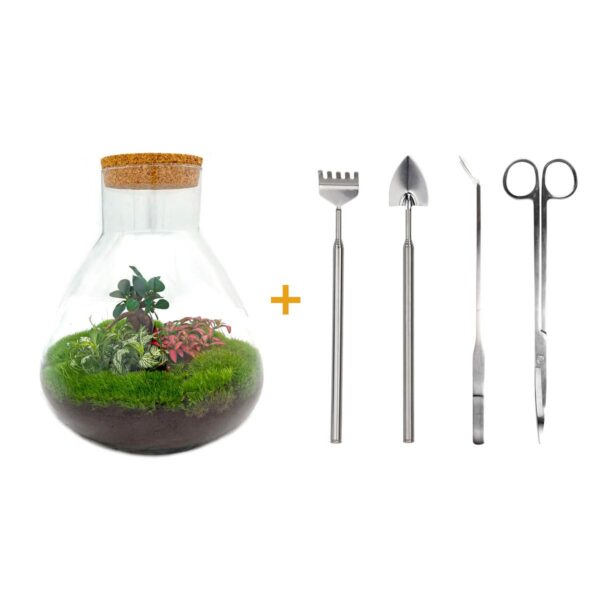 thumbnail_6000-3499.jpg Flaschengarten - Sam XL Bonsai - Rake + Shovel + Tweezer
