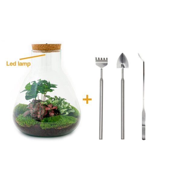 thumbnail_6000-3601.jpg Flaschengarten - Sam Coffea mit Lampe - Rake + Shovel + Tweezer