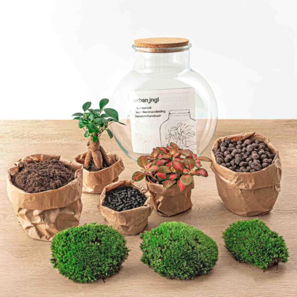 thumbnail_6000-3668.jpg Flaschengarten - Teddy bonsai - Rake + Shovel + Tweezer
