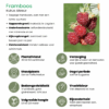 Fruchtparadis BIO Obstpflanzen mix | 4 Stücke