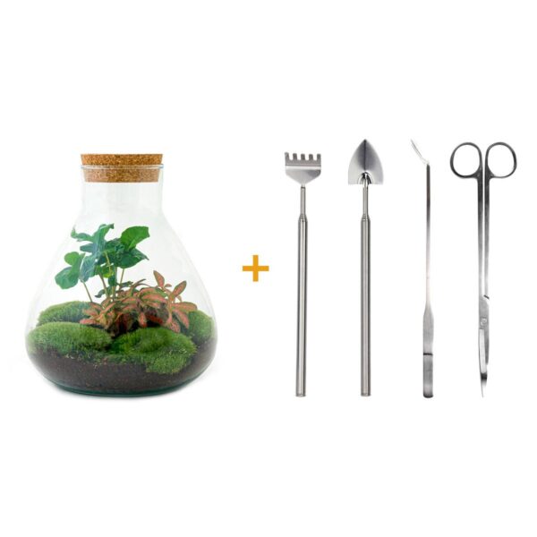 4bf9150cf356413f99e584c5f0c54890f4c8c14a6cf249e09293cfe3383d9b7a.jpg Flaschengarten - Sammie Coffea