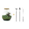 Flaschengarten - Teddy - ↕ 26,5 cm - Rake + Shovel + Tweezer