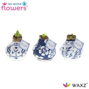 afa4e42a2afb4ec79af66806dfddf7753954c6104e514dc594fe644375ec901c.jpg No Water Flowers Waxz Delft Blue Mix - 3 Stück