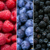 74a2d31532e74b719386d5f39707fb03702817e64cc545dba299af2ff59438ad.png "Fruchtenparty" BIO Obstpflanzen set im mix von 3 verschiedene Sorten