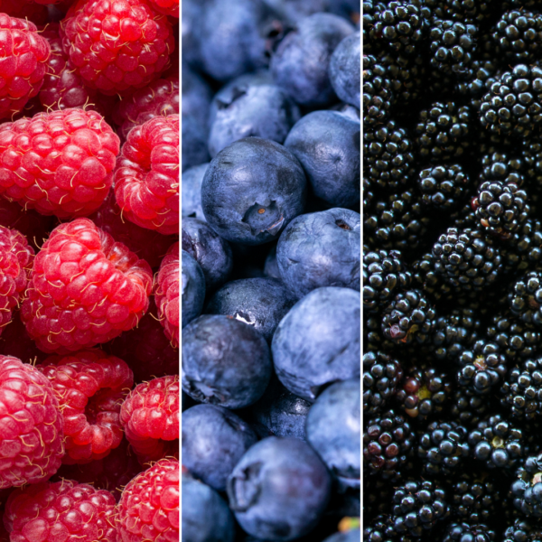 74a2d31532e74b719386d5f39707fb03702817e64cc545dba299af2ff59438ad.png "Fruchtenparty" BIO Obstpflanzen set im mix von 3 verschiedene Sorten