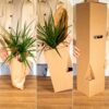 Anthurium Rot - Flamingo Pflanze