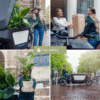 c80c9725abe949afa69e20a6ddbfd50169fb3319ec2741b0a0ad7fd3bcec70dc.png Aloe vera - Sukkulente | 2 Stück