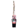 1807f4d8f0ad45d48ca1a3cda0496d938cdf0db919194f8eb17074130d979f19.png Lonicera periclymenum 'Belgica' | 4 Stück