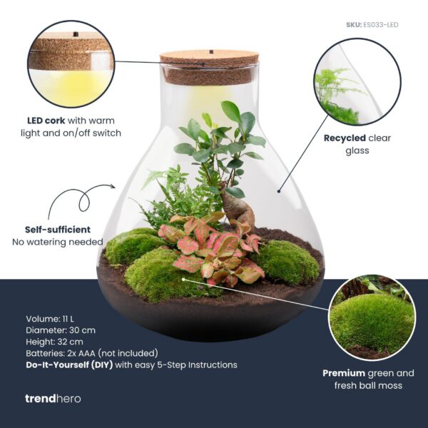 Sam XL Bonsai
