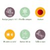 Terrassenpflanze - Japanischer Ahorn - Acer palmatum Sumi-nagashi - Rot - 2 Pflanzen - Laubabwerfend