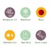 Terrassenpflanze - Japanischer Ahorn - Acer palmatum Sumi-nagashi - Rot - 2 Pflanzen - Laubabwerfend