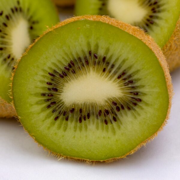 6aa9b8218ae34f82b8a3dbb07baa804d93e7ad6bc5d649c0aba3122ca5308807.jpg Obstpflanze - Grüne Kiwi - Actinidia deliciosa Jenny - Grüne Frucht - 2 Pflanzen
