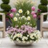 b56f9c41dc604749a4e85d89e4622a6cbcb3db8a14c14307911c767c1b56a5ba.jpg Blumenzwiebeln - Bulb Garden Pink mix - Verschiedene Sorten - Pink - 125 Stück