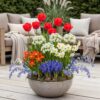 Blumenzwiebeln - Zwiebeln aus Holland - Verschiedene Farben - 125 Stück