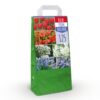 Blumenzwiebeln - Zwiebeln aus Holland - Verschiedene Farben - 125 Stück