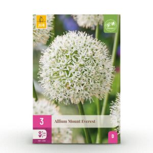 849854a9a9fa40c9b34c502db55bbf712f3bee936316423ca7939ac6eac9de00.jpg Blumenzwiebeln - Allium 'Mount Everest' - Weiß - 3 Stück - Zwiebelgröße 16/18