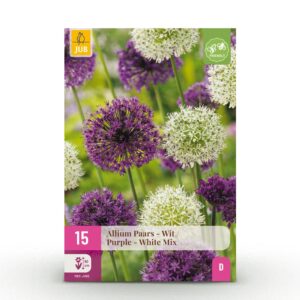 57ad0ef2c99745d1a576a77c58974147eff000e464534677b3f1a0e4be14e159.jpg Blumenzwiebeln - Allium 'Purple & White Mix' - Violett und Weiß - 15 Stück - Zwiebelgröße 10/12