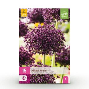 2325682d9d884e2b9b2750a39c7a299acd465535f19745009fbc0b026f9064bc.jpg Blumenzwiebeln - Allium 'Miami' - Lila - 15 Stück - Zwiebelgröße 10/11