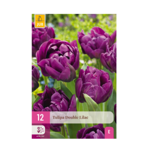 6eefd27cc8bf4f228f0817de932a1ab095c88629b5e64bb7ba78017eda44b949.png Blumenzwiebeln - Tulpe 'Double Lilac' - Violett - 50 Pflanzen - Zwiebelgröße 11/12