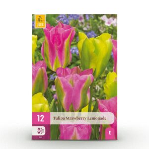 2117dbd681c042c992fce27e99866d48aab42a765d7644619fa05533fc221641.jpg Blumenzwiebeln - Tulpe 'Strawberry Lemonade' - Verschiedene Farben - 12 Stück - Zwiebelgröße 11/12