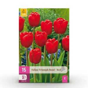 fe5b0ef31fca417e993c85e61d576db25c7ac1096cf14103ba8d5676123a5ead.jpg Blumenzwiebeln - Tulpe 'Triumph Red' - Rot - 15 Stück - Zwiebelgröße 11/12