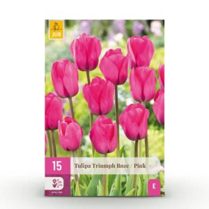 119f63ff0a204146a938dd26c0b81eed1612ae10cd854665b295bbca852b5e8c.jpg Blumenzwiebeln - Tulpe 'Triumph Pink' - Rosa - 15 Stück - Zwiebelgröße 11/12