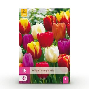 0c94b1e1e34f4cb490337b55ab8d7c05dbf9a9ac57034b0f988225e8d67f62da.jpg Blumenzwiebeln - Tulpe 'Triumph mix' - Verschiedene Farben - 15 Stück - Zwiebelgröße 11/12