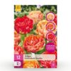 2f3226eb4b0b4d8d935dbea5042e3bd5c7573513c61943088a29670a70d0b456.jpg Blumenzwiebeln - Tulpe 'Gudoshnik Double' - Gefüllte Blüte - 12 Stück - Zwiebelgröße 11/12
