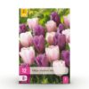 e2bc4e560c554476b25ae85aedd924710d1dc9d077a84f7d8b2020cb7f7f3545.jpg Blumenzwiebeln - Tulpe 'Macron mix' - Verschiedene Farben - 12 Stück - Zwiebelgröße 11/12