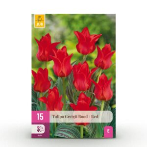 0ab83cc88c7243d28366c7c9e548f06c2efa8698c0b34b1b9ddcad585838a97a.jpg Blumenzwiebeln - Tulpe 'Greigii Red' - Rot - 15 Stück - Zwiebelgröße 11/12