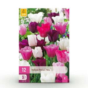 9f91eddec4134be2914709b86e357a5fbafb2e1c17f94027924fdd0b372464d2.jpg Blumenzwiebeln - Tulpe 'Pastel mix' - Verschiedene Farben - 12 Stück - Zwiebelgröße 11/12
