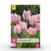 4f99b6120d0241da96cbd4f9d57c3d64e9278d7b1ebb45dd9eb9dd2a61c2cf93.jpg Blumenzwiebeln - Tulpe 'Double Pink' - Rosa - 12 Stück - Zwiebelgröße 11/12