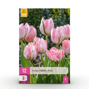 4f99b6120d0241da96cbd4f9d57c3d64e9278d7b1ebb45dd9eb9dd2a61c2cf93.jpg Blumenzwiebeln - Tulpe 'Double Pink' - Rosa - 12 Stück - Zwiebelgröße 11/12