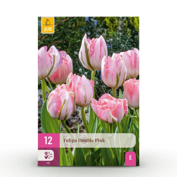 4f99b6120d0241da96cbd4f9d57c3d64e9278d7b1ebb45dd9eb9dd2a61c2cf93.jpg Blumenzwiebeln - Tulpe 'Double Pink' - Rosa - 12 Stück - Zwiebelgröße 11/12