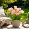 d5c2fb4c547d4f9e996763c1dcecd482d7afa8d0a7bf4fd79fed61b88279fb45.jpg Blumenzwiebeln - Tulpe 'Double Pink' - Rosa - 12 Stück - Zwiebelgröße 11/12