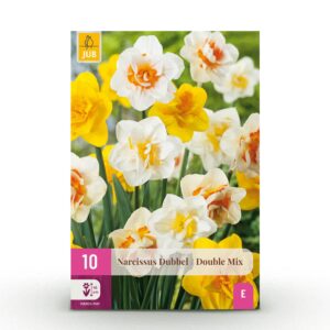 11c5d1c77df94e5fbeb72c17fbd44bb843d3ee62da8745f3ab262510be47b4fe.jpg Blumenzwiebeln - Narzisse 'Double mix' - Gelb und Weiß - 10 Stück - Zwiebelgröße 12/14