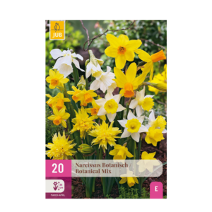 37e340b2b7cf457f85bbc43939f66d2d29852ae881e94d2b9580e0378eca9ba9.png Blumenzwiebeln - Narcissus 'Botanical mix' - Gelb und Weiß - 20 Pflanzen - Zwiebelgröße 10/12