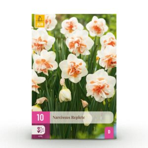 b1ac3e719b3b4617b2e66071dc7354c1c6d2719fd03a4934be55171185b19d04.jpg Blumenzwiebeln - Narcissus 'Replete' - Weiß und Orange - 10 Stück - Zwiebelgröße 10/12