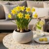 Blumenzwiebeln - Narcissus 'Carlton' - Gelb - 15 Stück - Zwiebelgröße 12/14