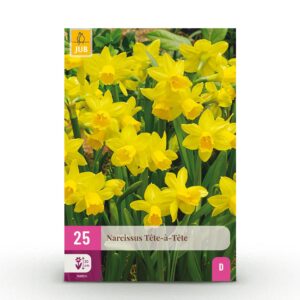a5278e26c6194403805b868607795c1e5a94e0d4c4ab4cd8b121ae247a2930cb.jpg Blumenzwiebeln - Narcissus 'Tete-A-Tete' - Gelb - 25 Pflanzen - Zwiebelgröße 10/11