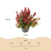 06e98122a38240c2b8fded83df418756ec26240f1ee24863b31c79b958fe4844.jpg Leucothoe Little Flame - Rot - 2 Pflanzen - Immergrün - Pflegeleicht
