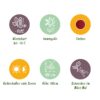 3454c207bbd548118efe7e81d5a25911c8f8fbe97063410dab23af2b44d1b728.jpg Leucothoe Curly Red - Rot - 2 Pflanzen - Immergrün - Pflegeleicht