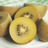 Obstpflanze - Gelbe Kiwi - Actinidia deliciosa Golden Kiwi - Gelbe Frucht | 2 Stücke