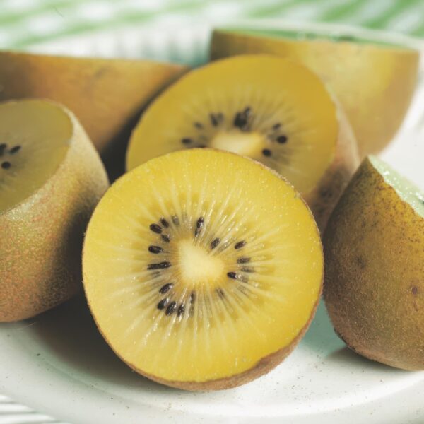Obstpflanze - Gelbe Kiwi - Actinidia deliciosa Golden Kiwi - Gelbe Frucht | 2 Stücke