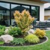 64e1c28cbe904d11bd53cb3838f8722914bc1414c18641eaaf9716cadd4fcba2.jpg Acer palmatum Koto Hime - Japanischer Ahorn - Laubabwerfend - Grün
