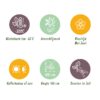 9b50c6d2aa1148898a5709d94f8d4137c321f7fbfe6b41968f9b723a4d9c9a64.jpg Zwerg-Rhododendron - Rhododendron Bloombux Hellrosa - Blühender Buchsbaum - Pflegeleicht - Hellrosa Blüte